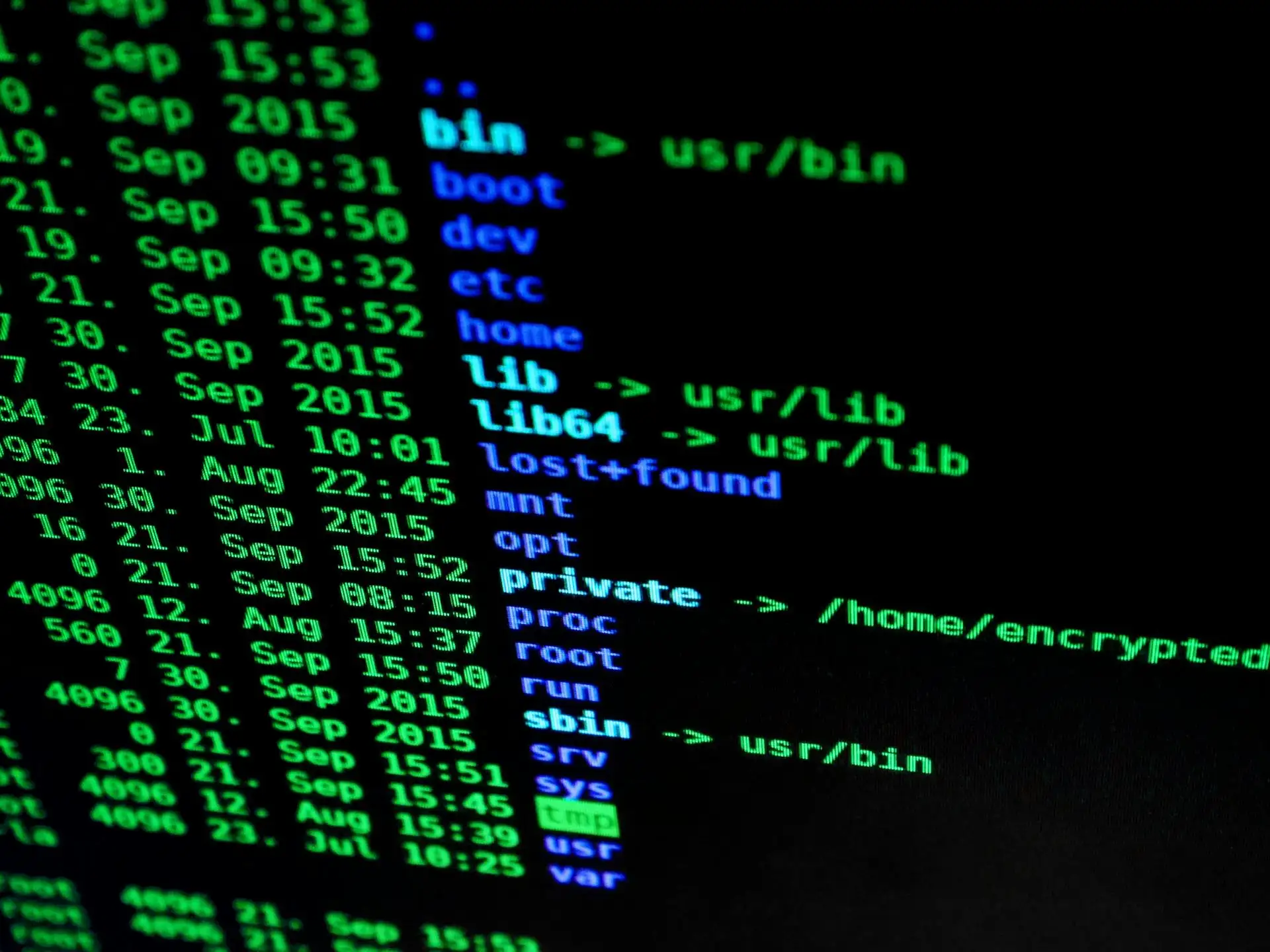 Struktura katalogów Linux - drzewo katalogów root w terminalu